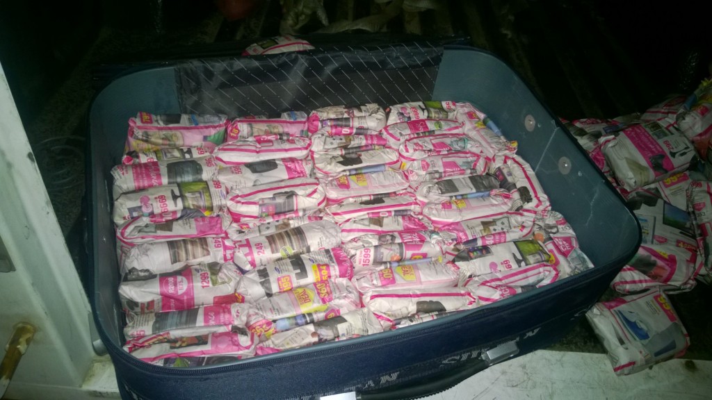 Drug Bust